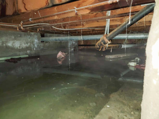 Best Flood restoration services  in Providence Village, TX