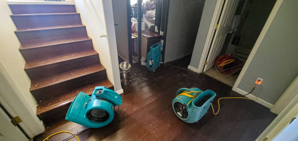Reliable Providence Village, TX Water damage restoration Solutions