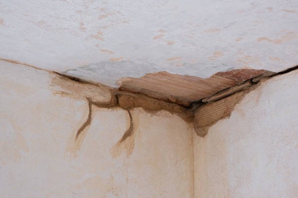 Best Flood restoration services  in Providence Village, TX