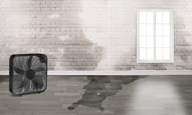 Best Ceiling water damage repair  in Providence Village, TX