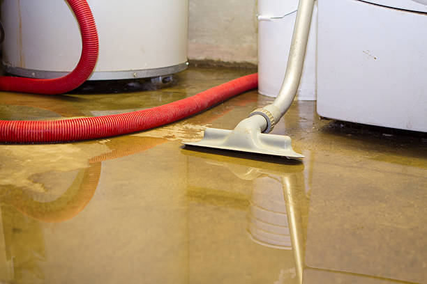 Best Water damage restoration near me  in Providence Village, TX